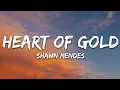 Shawn Mendes - Heart of Gold (Lyrics)