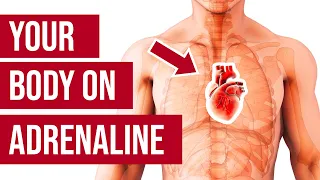 بدن شما در آدرنالین دندنها