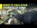 Download Lagu Paling Unggul Di Dunia! Briket Arang Kelapa Kuasai Pasar Ekspor