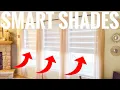 Smartwings Motorized Smart Zebra Shades Alexa Voice Controlled How-to Blinds Full Review