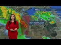 Jennifer Correa 2024 WPTV NBC5