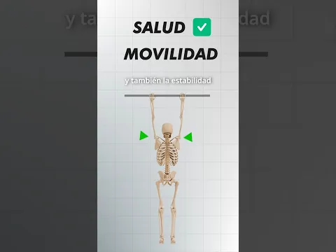 Descomprime tu columna con seguridad
