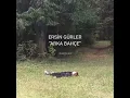 Ersin Gürler Akan - Arka bahçe / Sözleriyle