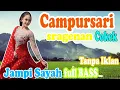 Download Lagu FULL ALBUM JAMPI SAYAH VIRAL HARI INI CAMPURSARI PALING ENAK DIDENGAR SEPANJANG - PALING GAYENG