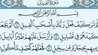 سورة الفيل مكررة    مرة   ماهر المعيقلي                                                       دندنها