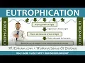 Pollution - Eutrophication