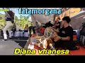 Lagu fatamorgana diana vhanesa new avista.. (koplo)