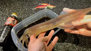 生きたままイカを沖漬けにしたらヤバすぎた…