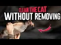 How to Clean a Catalytic Converter Without Removing It