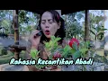 Download Lagu Kehidupan Cinderela Di Tengah Hutan Bersama Kurcaci