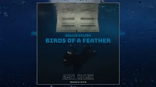 Download BILLIE EILISH - Birds Of A Feather (AMEL REMIX) EXTENDED MIX MP3