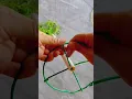 Download Lagu Technique planting portulaca flower in pot with stand very beautiful #shortvideo #flowers #garden