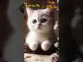 Download Lagu LYLA HAPPY BIRTHDAY | HAPPY BIRTHDAY SONG WITH NAMES | Adorable Cute Cat 😺  #happybirthday #cat