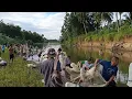 Download Lagu JALA IKAN TERBARU DI SUNGAI LUBUK LARANGAN MUARA PURBA TUA (07/09/25) 