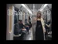 Download Lagu BLACKBIRD - Eerste in de rij (officiële video)