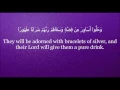 Download Lagu Mishary Rashid Alafasy Surah Insaan 76