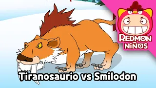¡Tiranosaurio vs Smilodon! 🦖💥🐯 Batalla de Dinosaurios | REDMON Niños