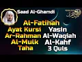 Download Lagu Surah Al Fatihah,Ayat Kursi,Yasin,Ar Rahman,Al Waqiah,Al Mulk,Al Kahf,Taha,3 Quls By Saad Al Ghamdi