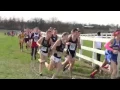 KHSAA State XC Meet Boys Class 2A 2015