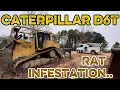Cat D6T rodent problems…