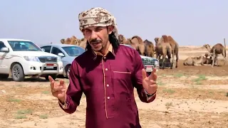 مجرودة بنت المدينة بسام ابو عواد      دندنها