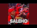 Download Lagu Saleho