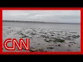 See Tampa Bay drained of water by Hurricane Ian