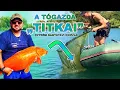 Lagu A TÓGAZDA elárulta a TITKAIT, és ez lett belőle…🤫🐳💎