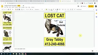 How to Edit a Lost Pet Poster in Google Slides