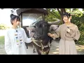 Lagu Blu-ray「村上まなつと立花日菜の真夏の日向ぼっこ～沖縄で日向ぼっこ～」2日芽 ダイジェストCM