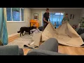 NuLoom 10x14 Rug Review