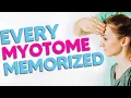 Myotome Mnemonics EASY