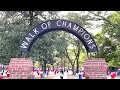 The Ole Miss Gameday Experience ft The Grove