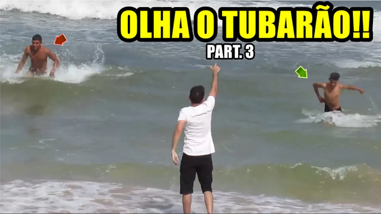 OLHA O TUBARÃO!! : MELHORES PEGADINHAS