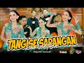 Download Lagu Rina Aditama - Tangise Sarangan (Official Music Live)