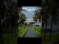 Download Lagu Thendral vanthu ennai thodum song...💕🍃🤩