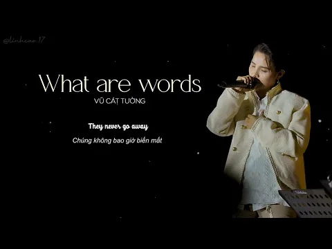 Download MP3 [Lyrics +Vietsub] WHAT ARE WORDS - Vũ Cát Tường (cover)