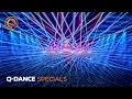 Download Lagu The Sound of Q-dance Shenzhen, China 2019 | Official Q-dance Aftermovie