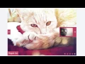 no-jQuery Content Slider - Retina-Ready