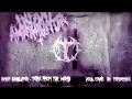 Infant Annihilator - Torn from the Womb (Vocal Cover by Tomsemann)