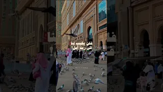 إن مسنا الضر او ضاقت بنا الحيل الله حسبنا وكفى يوتيوب Youtubeshort ترند تيك توك اكسبلور 