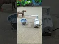 Download Lagu (ideas)Mini tractor project mini motor water pump project horse video # 278