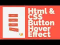 Eye Catching Button Hover Effect Using Html CSS