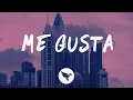 Download Lagu Shakira - Me Gusta (Letra / Lyrics) Anuel AA