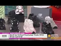 Back-to-School Footwear Finds With Shoe Carnival I Daytime Chicago