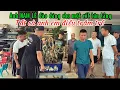 Download Lagu Anh NAM LÊ đảo dáng cho một phôi TÁN TẦNG chủ không nhận ra cây| Quảng Tùng