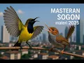 Download Lagu Masteran Sogon  viraL 2025