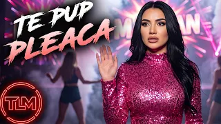 Descarcă Te Pup X Pleaca! - Taraful Lui Mafian MP3 gratuit - Muzica123