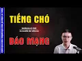 Download Lagu TRUYỆN MA HAY: TIẾNG CHÓ BÁO MẠNG - CHUYỆN MA MC NGUYỄN HUY KỂ MỚI NHẤT