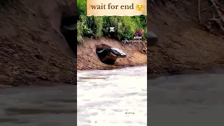 zvzjj7v sgzjsh8bd 3 33388 d gdvdu98373 d jdvr838734bbxnx883636